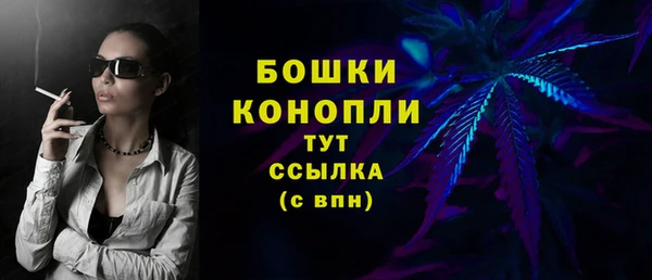 PSILOCYBIN Белоозёрский