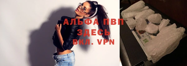стафф Беломорск