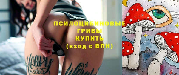 стафф Беломорск
